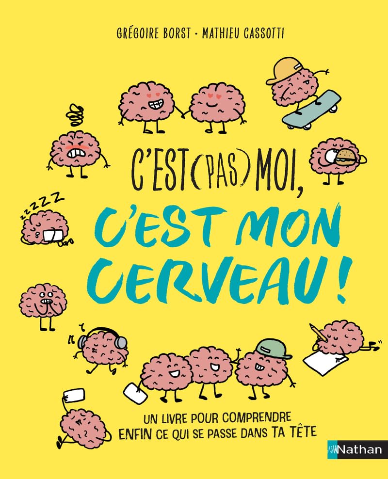 Comprendre le cerveau des adolescents et lycéens